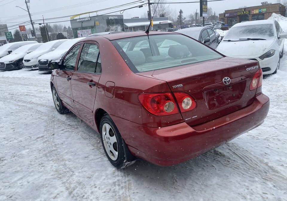 612809756_1537062974229969_2086869094331206779_n