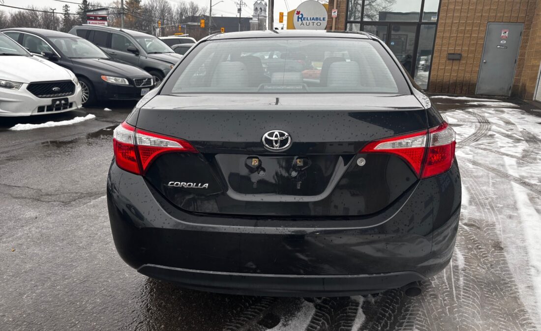 709ffe5f-983a-4b45-95aa-21e2ff2ecef4